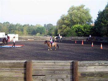 Willowbrook Riding Centre Chichester Bagian luar foto